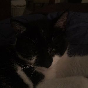 Meet your Posher, Dan